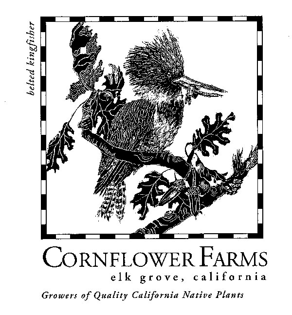 Cornflower Farms