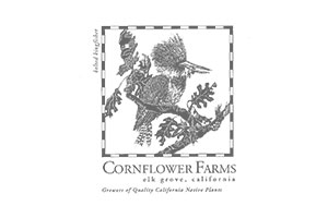 CornflowerFarms
