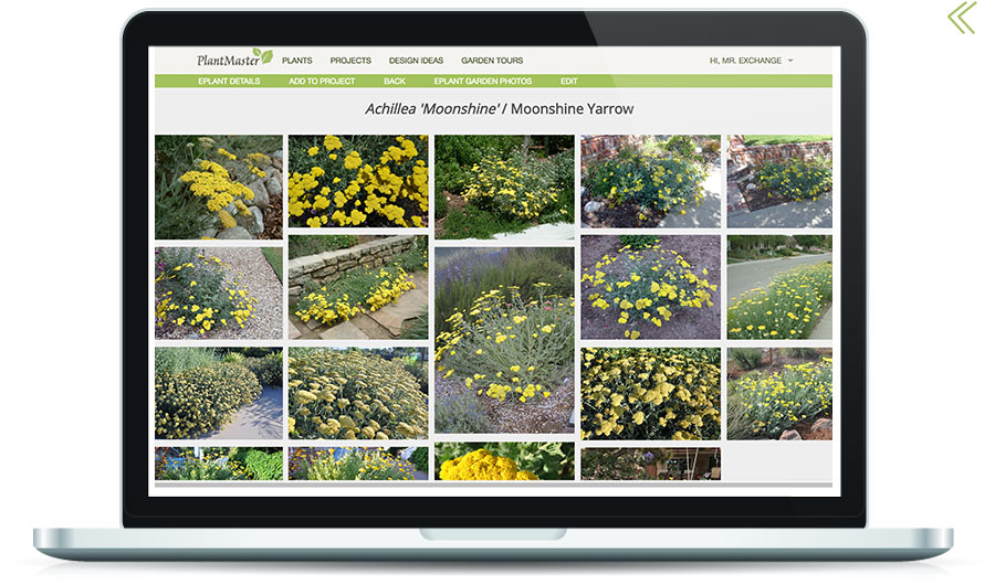 Landscape Designers - PlantMaster Blog